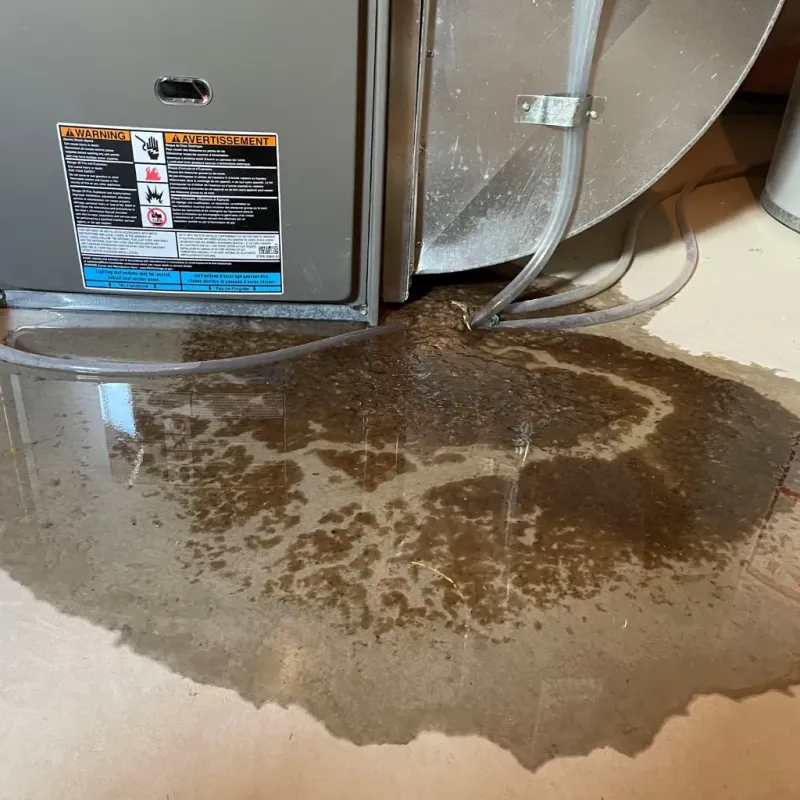 Appliance Leak Cleanup in Arlington, VT